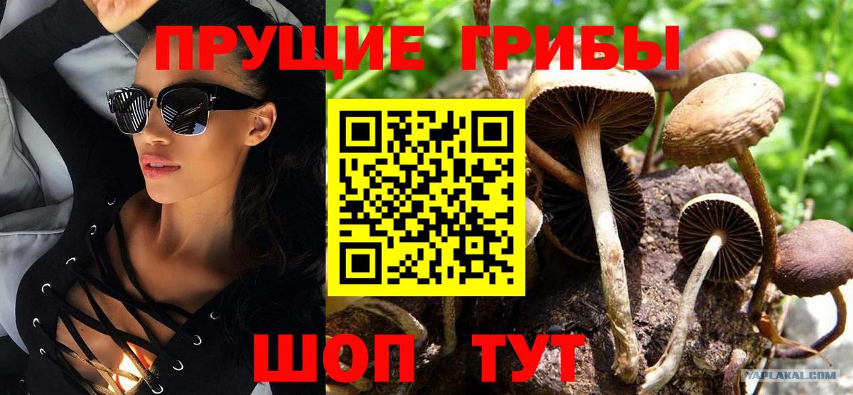 Магадан  Псилоцибиновые грибы GOLDEN TEACHER  Вход с VPN 