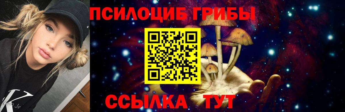 Галлюциногенные грибы Psilocybe Магадан